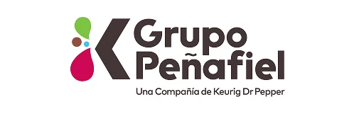 Logo grupo penafiel